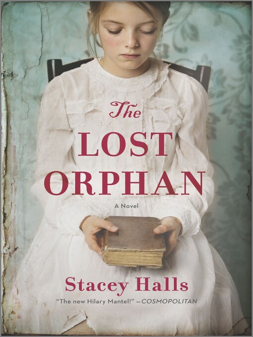 Cover image for The Lost Orphan